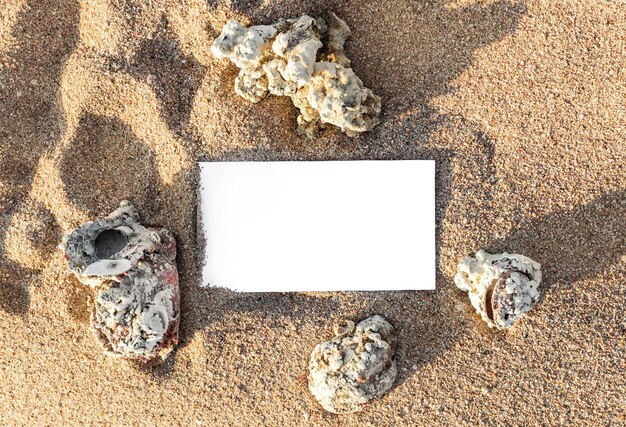 Tarjeta en blanco con conchas marinas en la arena de la playa