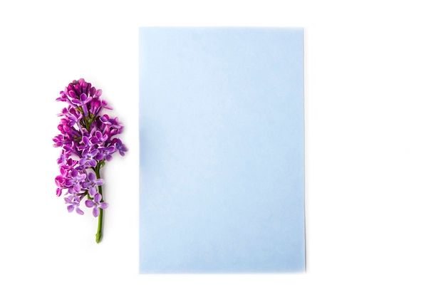 Tarjeta en blanco con flores lilas