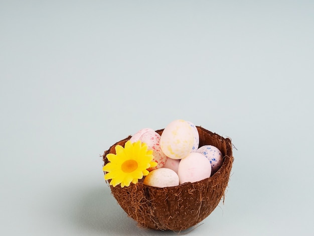 Tarjeta de celebración de Pascua - enfoque selectivo de huevos de pascua de colores naturales huevos en cáscara de coco, flores de gypsophila, fundamento rosa, estilo rústico