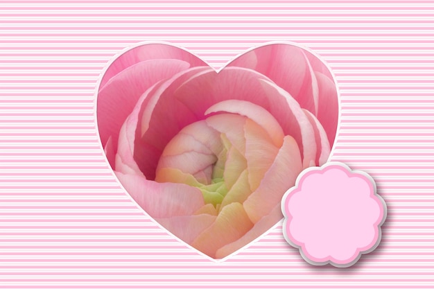 Tarjeta del día de la madre patrón de tarjeta del día de la madre diseño de tarjeta de felicitación amor