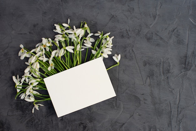 Tarjeta de felicitación en blanco con flores de campanillas frescas de primavera. Endecha plana.