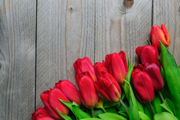 Tarjeta de felicitación festiva con ramo de tulipanes rojos florecientes. Fondo de primavera con espacio de copia.