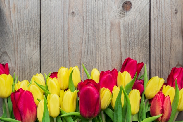 Tarjeta de felicitación festiva con tulipanes amarillos y rojos sobre fondo de madera. Copiar espacio para texto