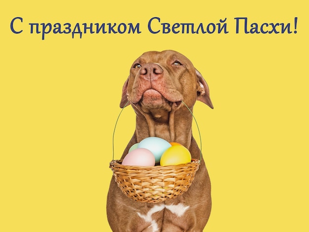 Tarjeta de felicitación con una inscripción en ruso Feliz Pascua
