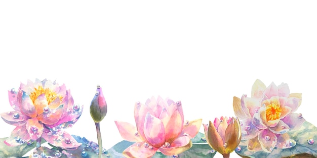 Tarjeta de felicitación de lirio de agua con flores silvestres de acuarela sobre un uso de loto de fondo blanco para scrapbooki