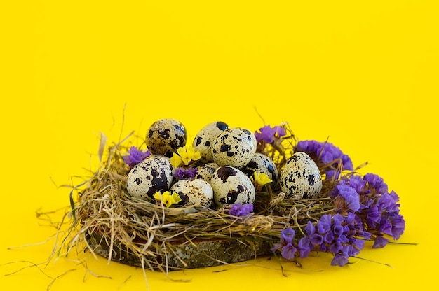 Tarjeta de felicitación de Pascua de primavera con huevos de codorniz con flores en un nido sobre un fondo amarillo Enfoque selectivo Concepto de comida saludable