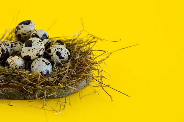 Tarjeta de felicitación de Pascua de primavera con huevos de codorniz en un nido sobre un fondo amarillo Comida saludable