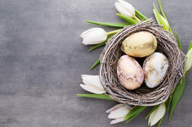 Tarjeta de felicitación de primavera. Huevos de Pascua en el nido. Tulipanes de flores de primavera.