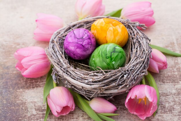 Tarjeta de felicitación de primavera. Huevos de Pascua en el nido. Tulipanes de flores de primavera.