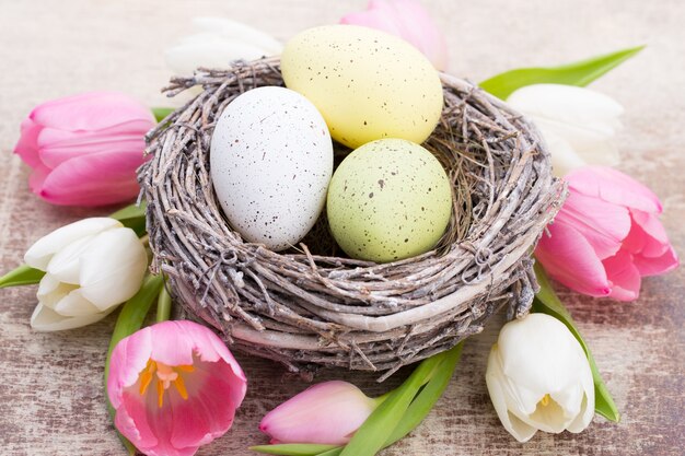 Tarjeta de felicitación de primavera. Huevos de Pascua en el nido. Tulipanes de flores de primavera.