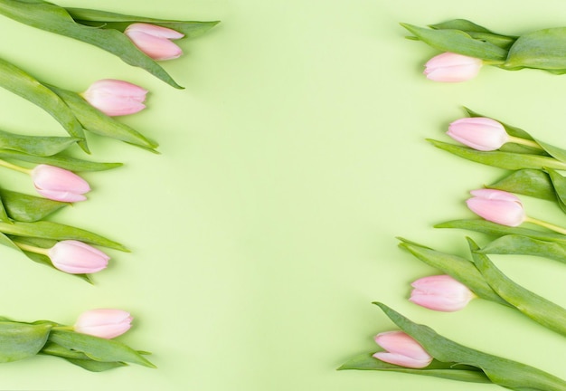 Tarjeta de felicitación de tulipanes rosas para cumpleaños, vacaciones de Pascua, día de la mujer, día de la madre, fondo floral