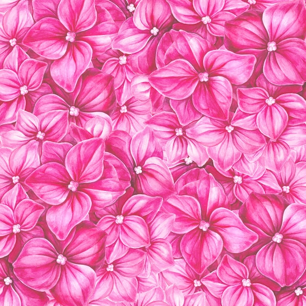 Foto tarjeta de flores de hortensia rosa.