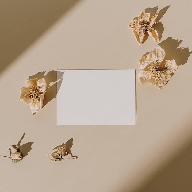 Tarjeta de hoja de papel en blanco con capullos de flores secas con sombra de luz solar en beige