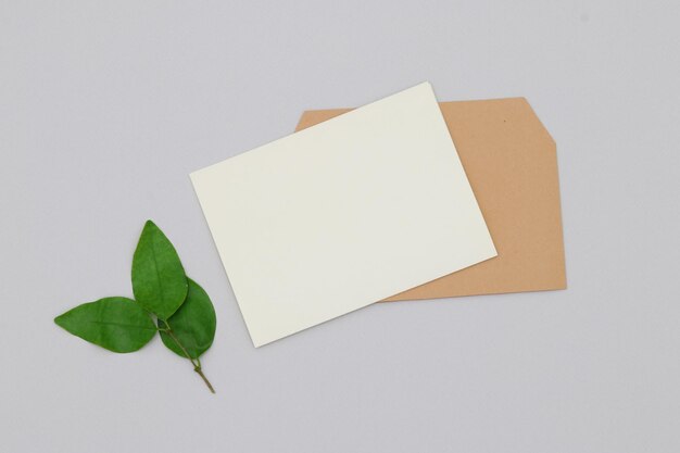 Una tarjeta con una hoja verde y una tarjeta en la parte superior.