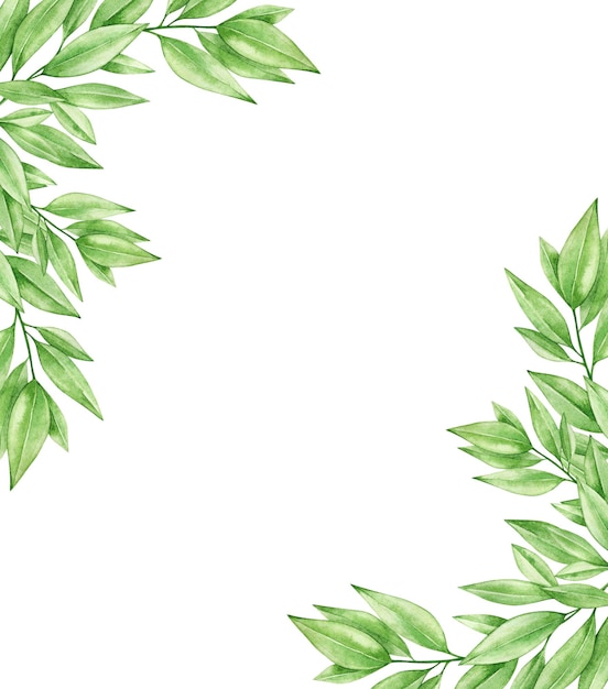 Tarjeta de ilustración acuarela con ramas de hojas verdes Aisladas sobre fondo blanco Dibujado a mano