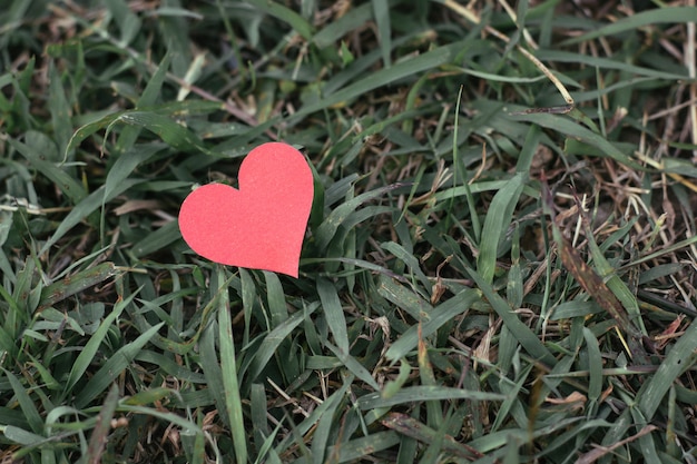 Tarjeta navideña: el corazón de papel rojo se encuentra en una hierba verde