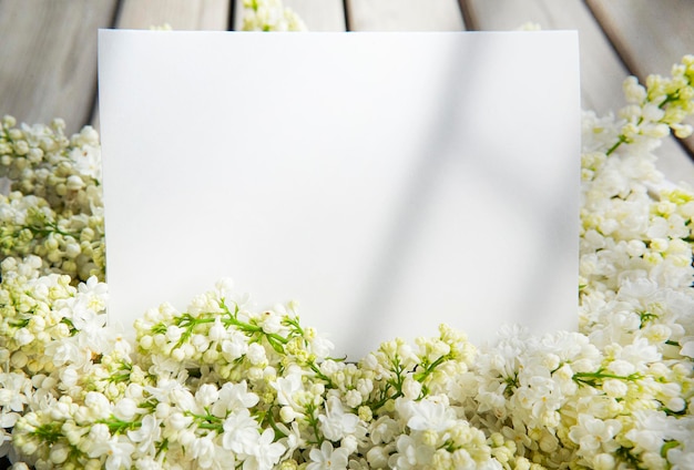 Tarjeta de papel blanco con flores lilas blancas de primer plano