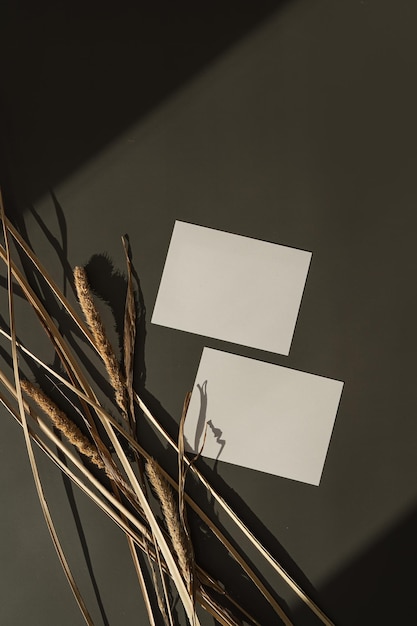 Tarjeta de papel con espacio de copia de maqueta en blanco y tallos de hierba secos en fondo oscuro con silueta de sombra a la luz del sol suave