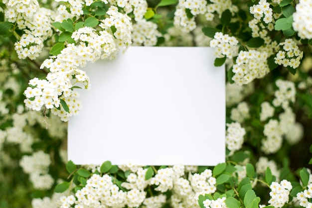 Tarjeta de papel sobre flores blancas.