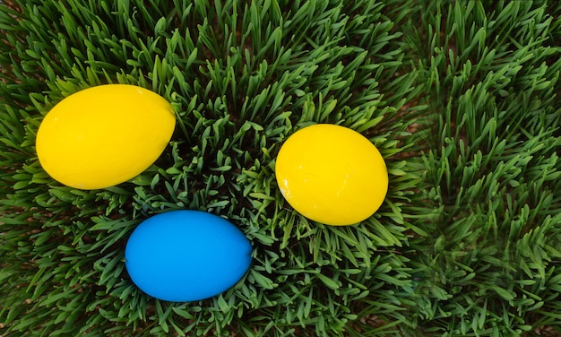 Tarjeta de Pascua brillante y colorida, coloridos huevos de Pascua en la hierba, hierba verde, huevos coloridos, vacaciones de Pascua. Copie el espacio.