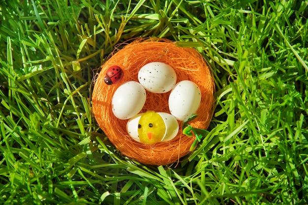 Foto tarjeta de pascua. un pollito de juguete en un nido de naranjas y una mariquita