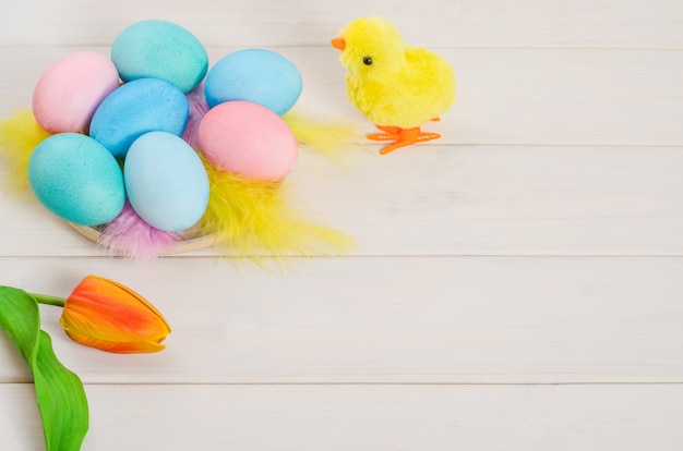 Tarjeta de Pascua, pollo de juguete con huevos multicolores sobre un blanco