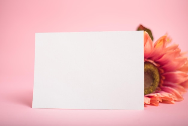 Foto tarjeta postal en blanco con flores sobre un fondo rosado modelo