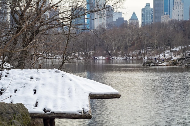 tarjeta postal de Central Park cubierta de nieve en Nueva York