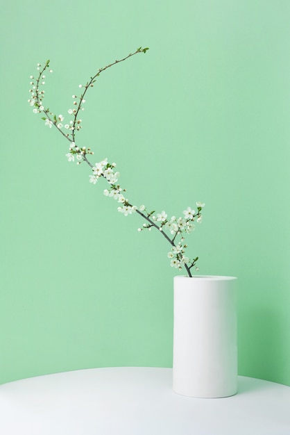 Tarjeta de primavera festiva con rama de flores de cerezo en flor natural fresca en un jarrón de cerámica