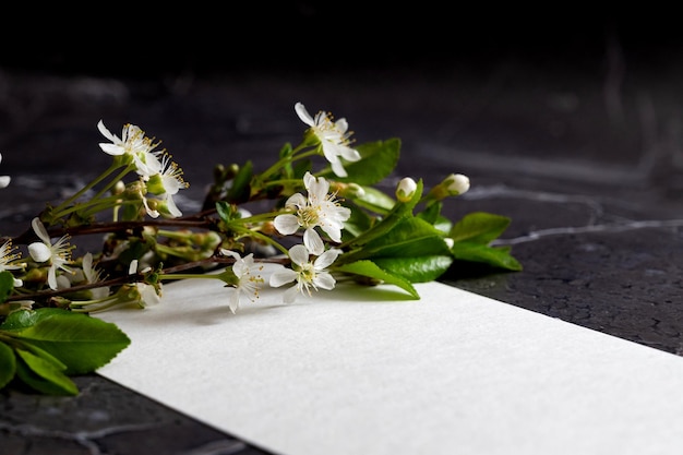 Foto tarjeta de regalo con flores sobre un fondo oscuro