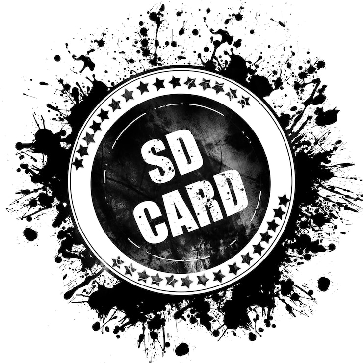 Foto tarjeta sd