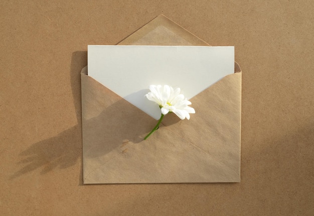Tarjeta vacía en sobre de papel kraft y flor de manzanilla Vista superior plana
