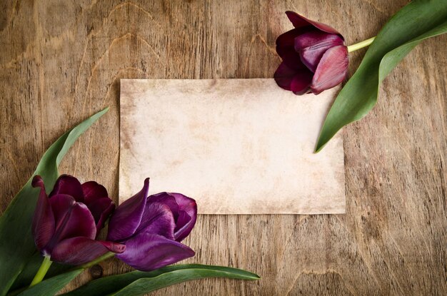 La tarjeta vieja y los tulipanes frescos de dos esquinas yacen sobre fondo de madera