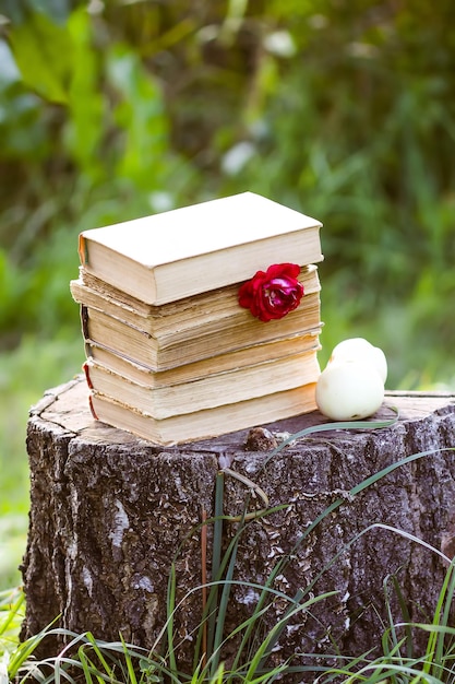 Tarjeta vintage con pila de libros antiguos y flor de rosa al aire libre