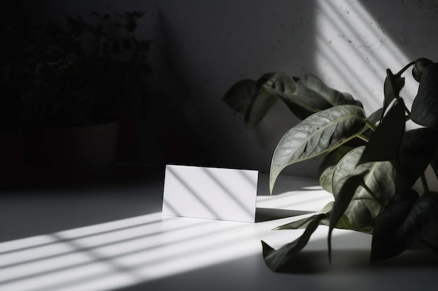 Tarjeta de visita de papel vacía con una paleta de colores monocromática