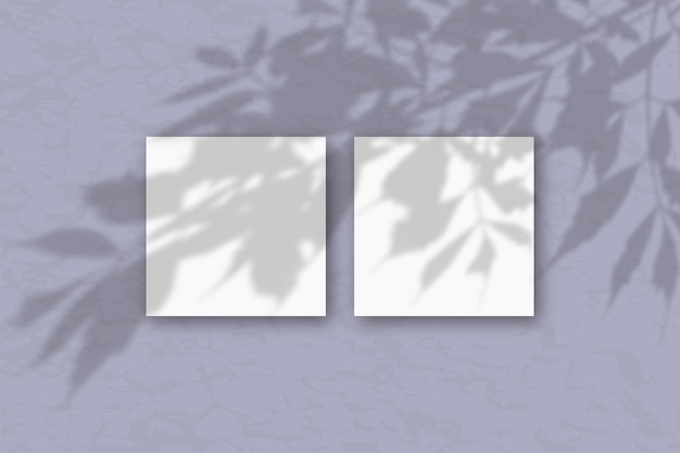 Foto tarjetas blancas con sombra de rama