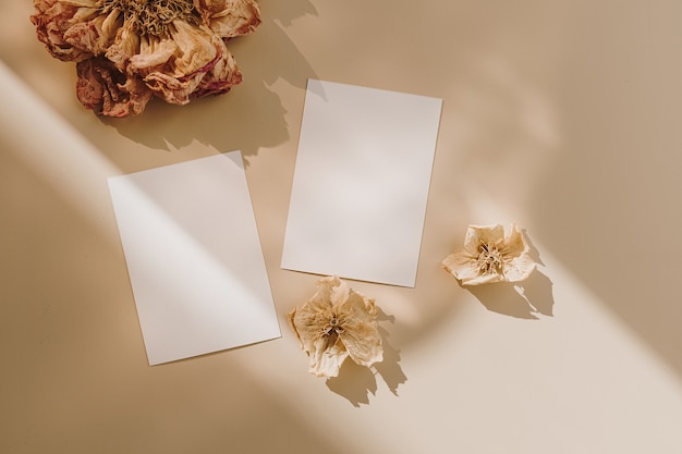 Tarjetas de hojas de papel en blanco con espacio de copia y capullos de flores secas con sombra de luz solar en beige