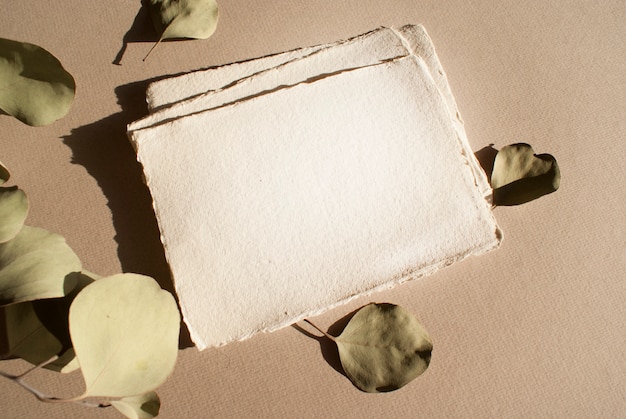 Foto tarjetas de invitación de felicitación de boda blanco en blanco s con hojas de eucalipto seco sobre fondo de mesa con textura. elegante plantilla moderna para la identidad de marca. vista plana, vista superior