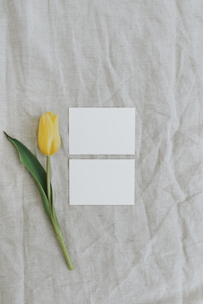 Tarjetas de papel de marca en blanco con espacio de copia de maqueta Fondo floral abstracto Fondo de flor de tulipán amarillo colorido Flores y pétalos Plantilla de botánica artística estética delicada