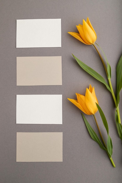 Tarjetas de visita blancas y beige y flores de tulipán naranja sobre fondo gris pastel vista superior espacio de copia