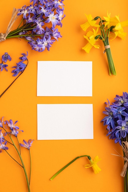 Tarjetas de visita de papel blanco con flores de campanillas de primavera campanillas narcisos sobre fondo naranja pastel vista superior copia espacio plantilla de maqueta