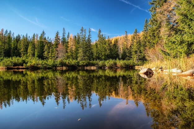 Tarn Jamske Pleso in den Hochtatras in der Slowakei in Herbstfarben