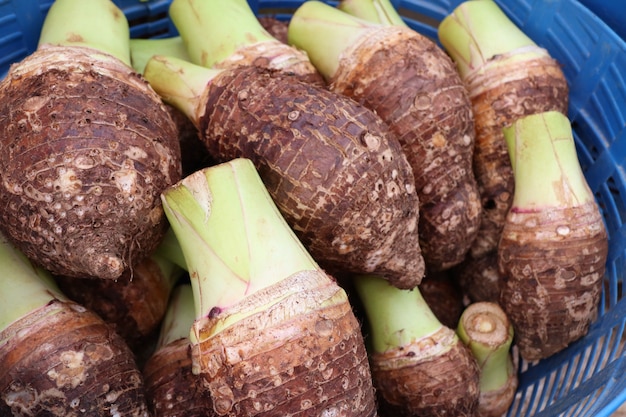 taro orgánico en la comida de la calle