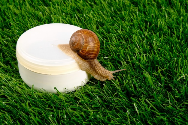 Tarro blanco con cosméticos para el cuidado de la piel con mucina de caracol sobre hierba verde. Spa de belleza.