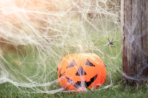 Tarro de caramelos de calabaza de Halloween con sonrisa espeluznante en la hierba naturaleza arañas web concepto de Feliz Halloween