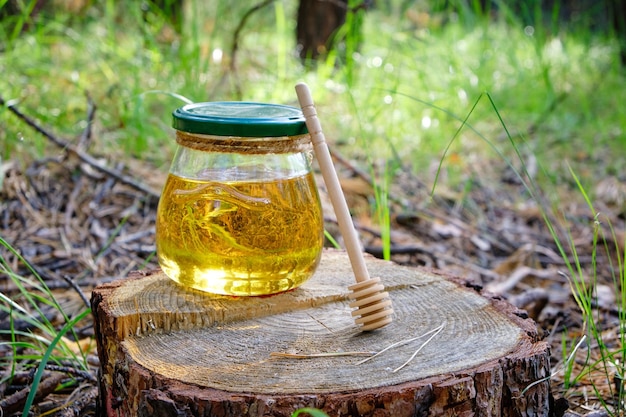 Tarro de miel y cuchara para miel en bosque en tocón