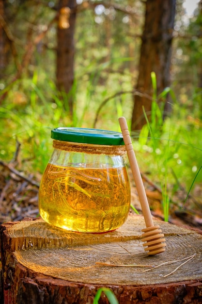 Tarro de miel y cuchara para miel en bosque en tocón