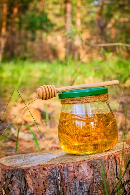 Tarro de miel y cuchara para miel en bosque en tocón