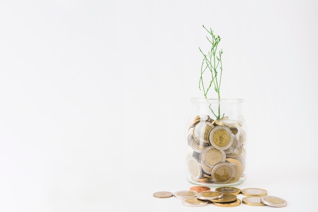 Foto tarro con monedas y planta