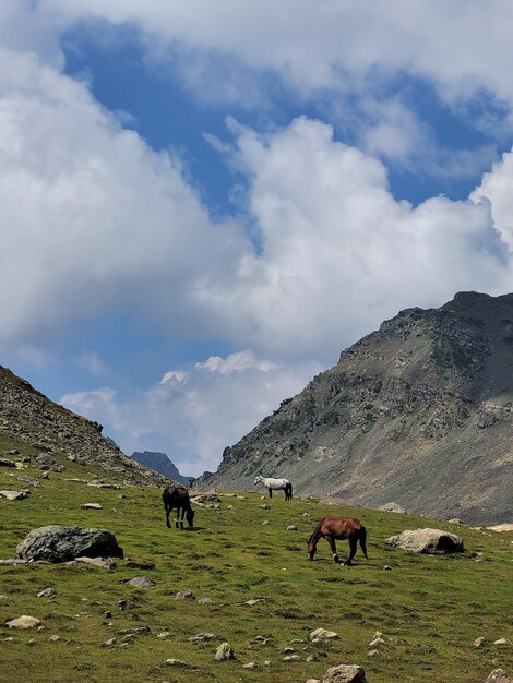 Tarsar Marsar Trek en la hermosa Cachemira